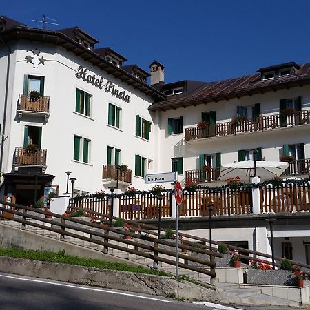 Hotel Pineta 팔카데 외부 사진
