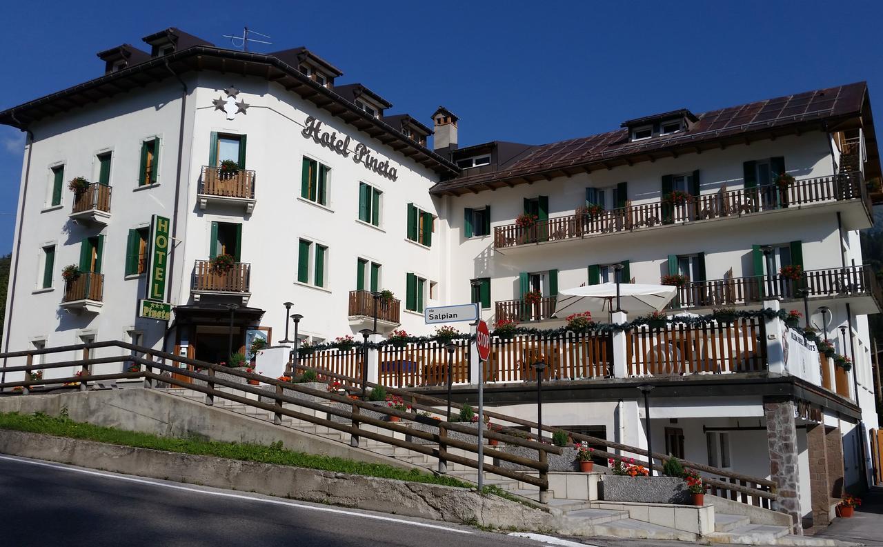 Hotel Pineta 팔카데 외부 사진
